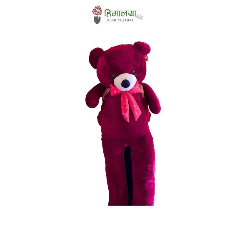 maroon teddy 