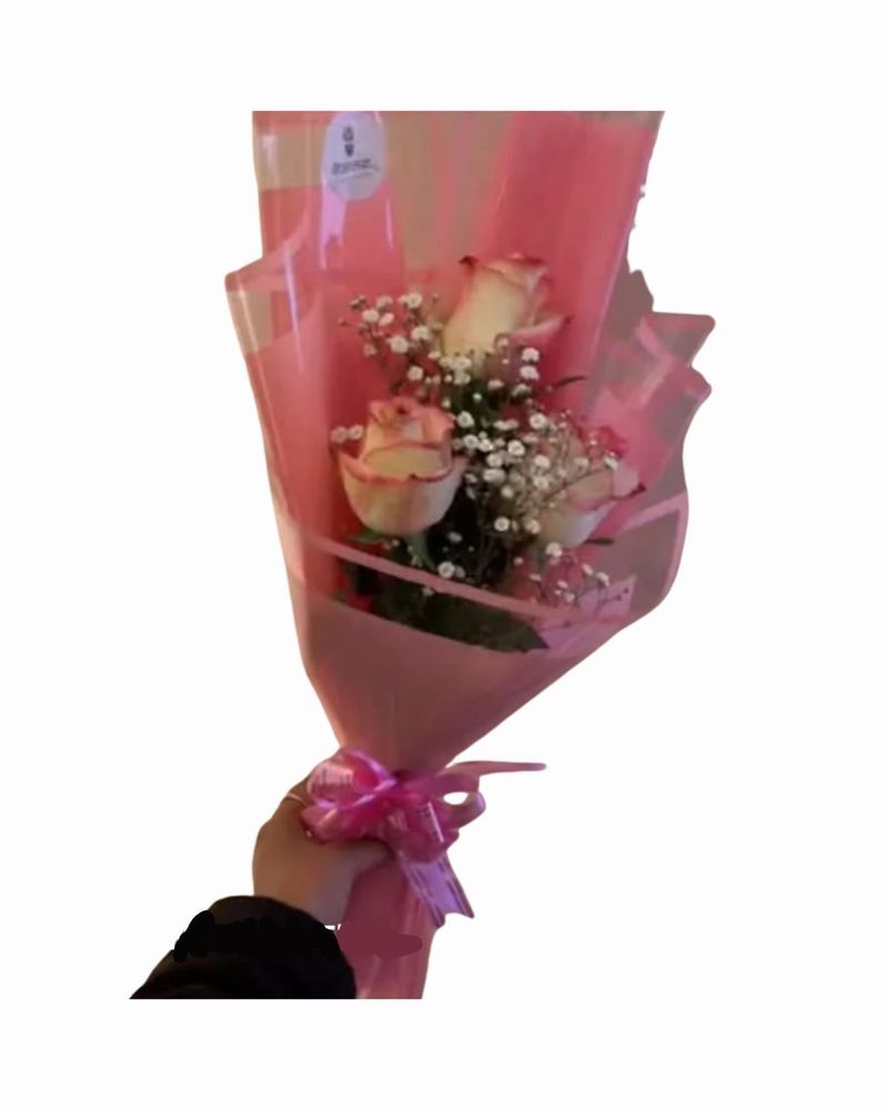 hybrid pink roses 