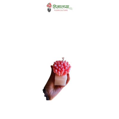 chrysanthemum candle