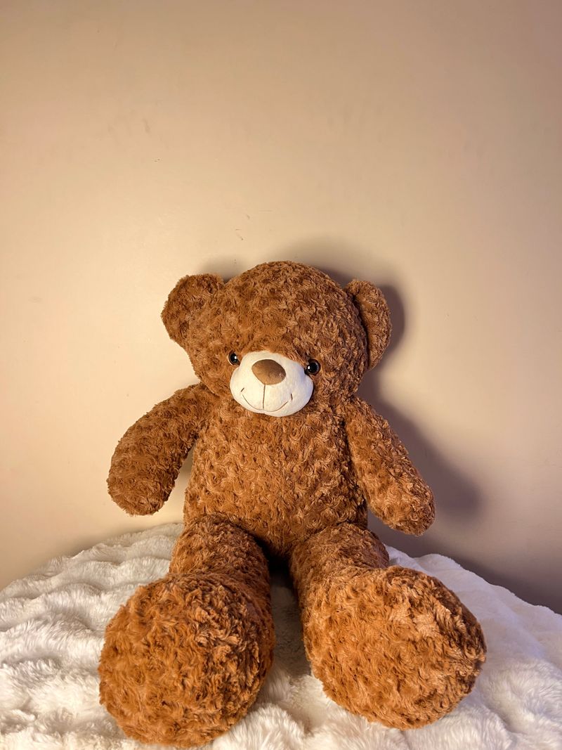 Coco Teddy 