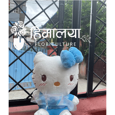Hello Kitty Small 