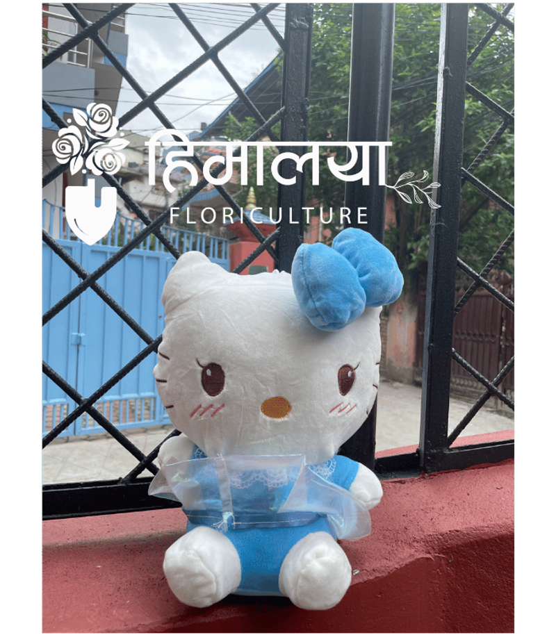 Hello Kitty Small 