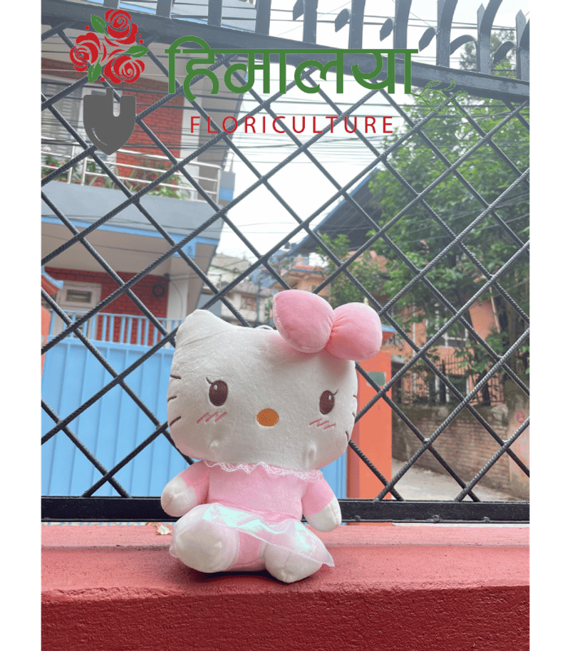 Hello Kitty Small