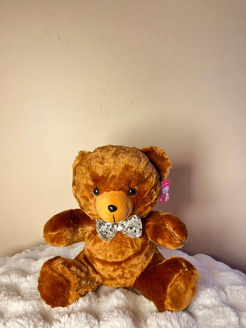 Puppy Teddy 