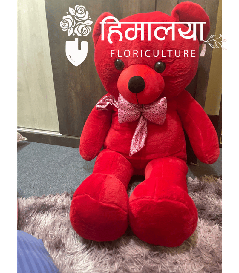 Teddy Bear