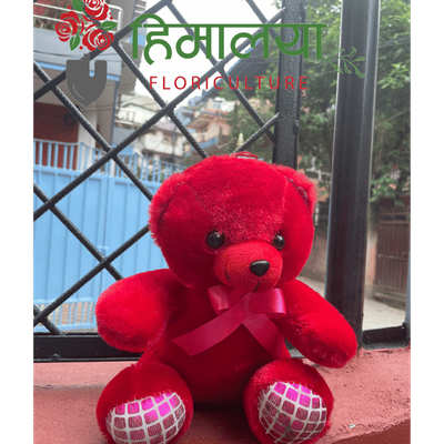 Teddy Bear Small