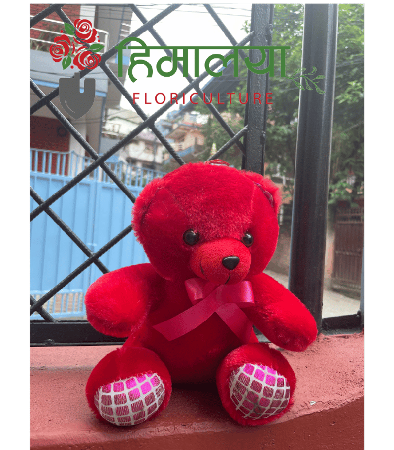 Teddy Bear Small