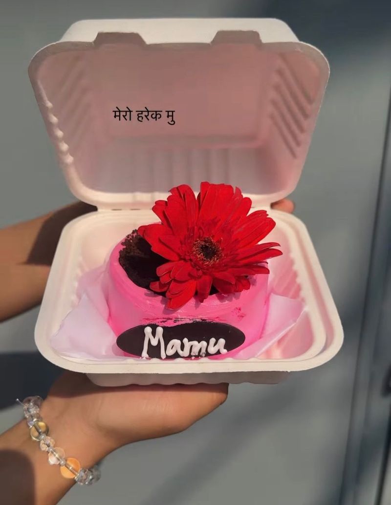 Blooming Red Gerber Bento Cake