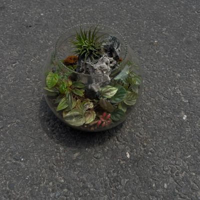 Glass Terrarium Garden