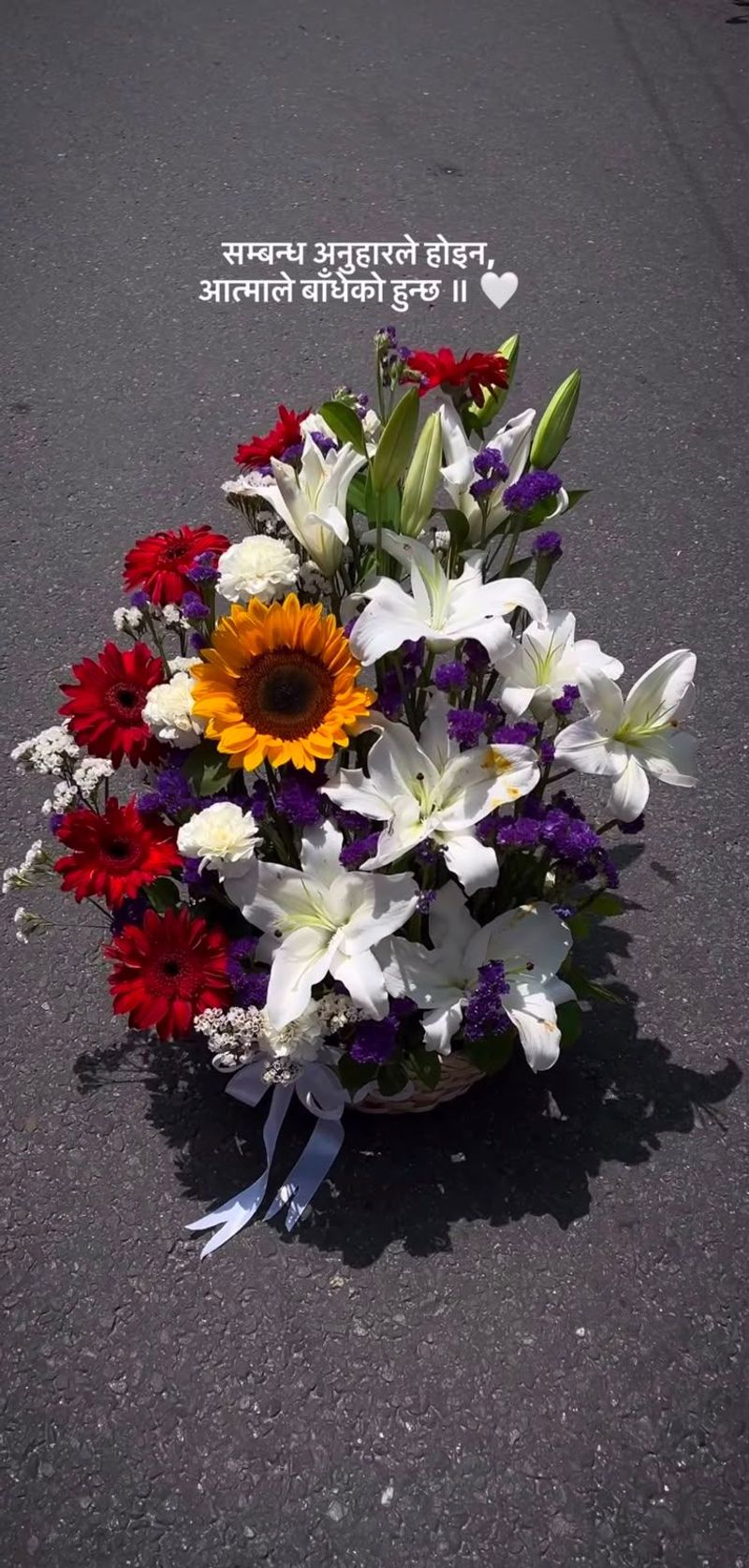 Harmony of Blooms Basket 🌸🌻🤍