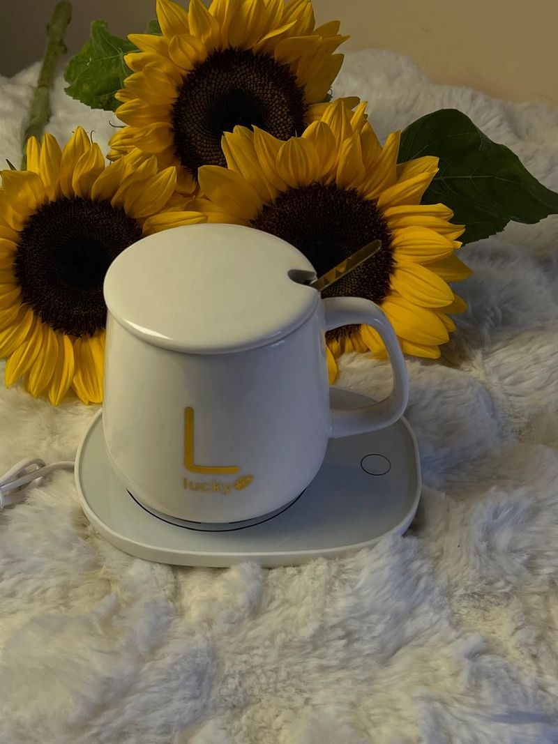 Warmth Mug Set 🌻☕