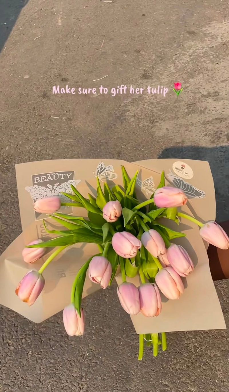Spring Awakening Pink Tulips