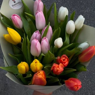 Sweet Serenity Tulips ✨