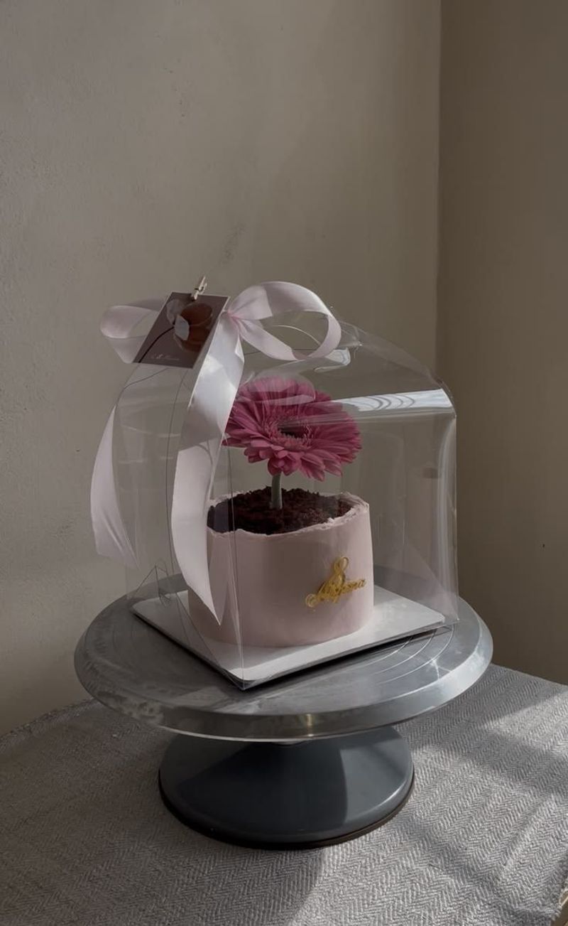 Chocolate cake