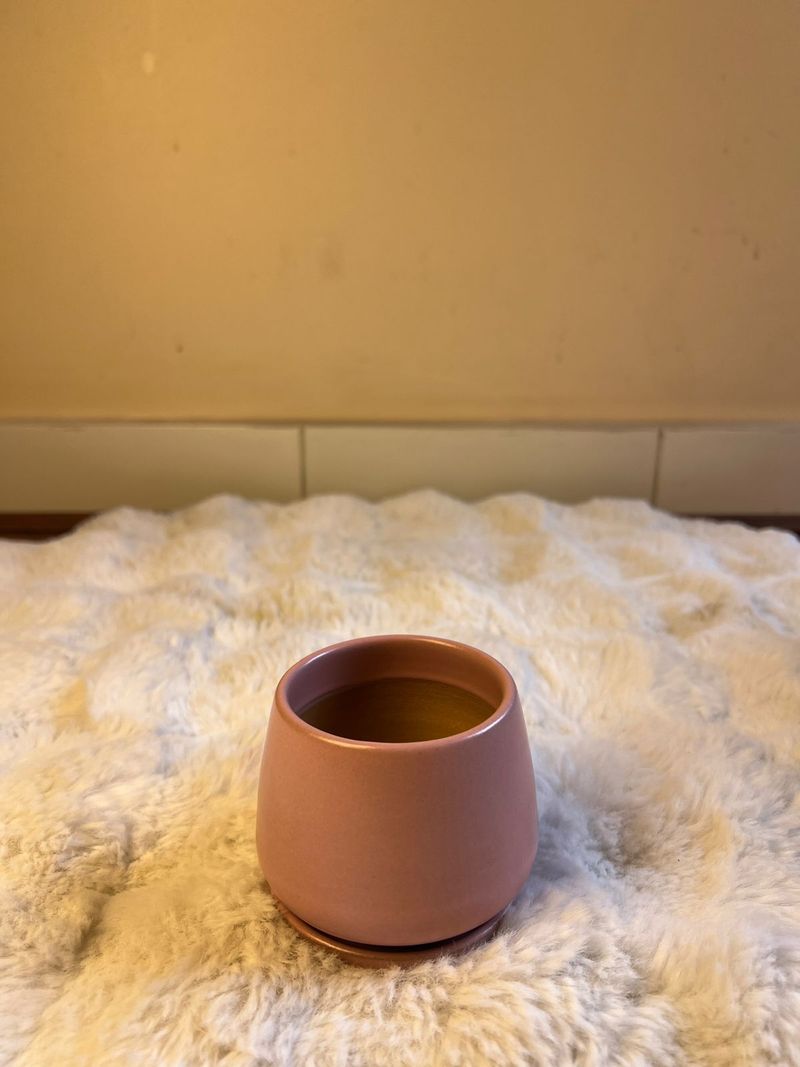 Modern Pastel Ceramic Planter