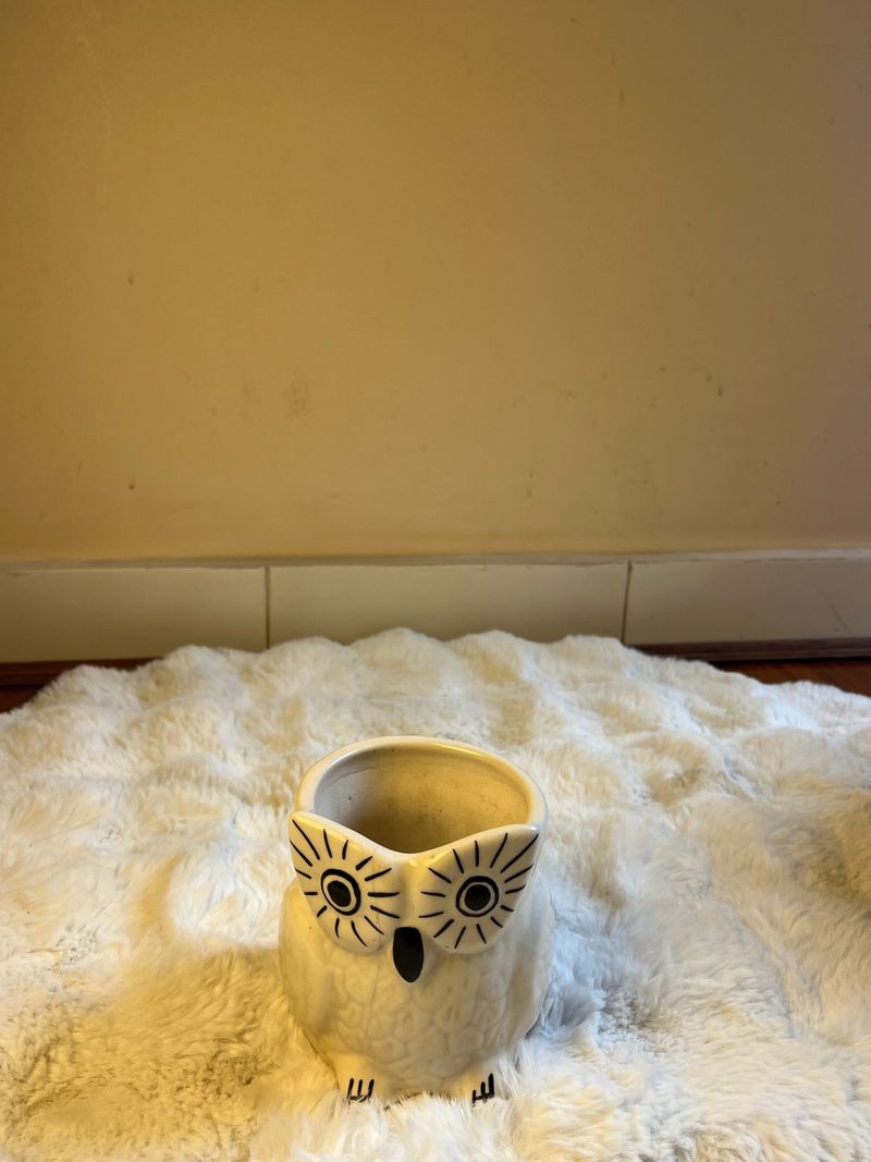 Spotted Owl Ceramic Planter