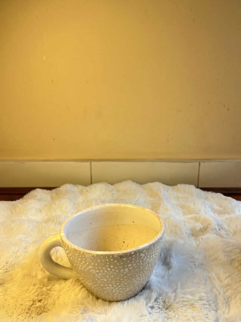 Saucer Ceramic Planter Set