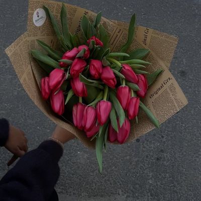 Premium Tulip Bouquet 
