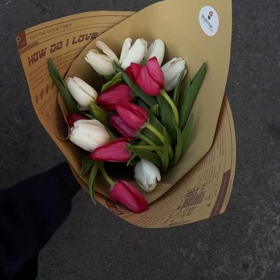 White and Pink Premium Tulip Bouquet