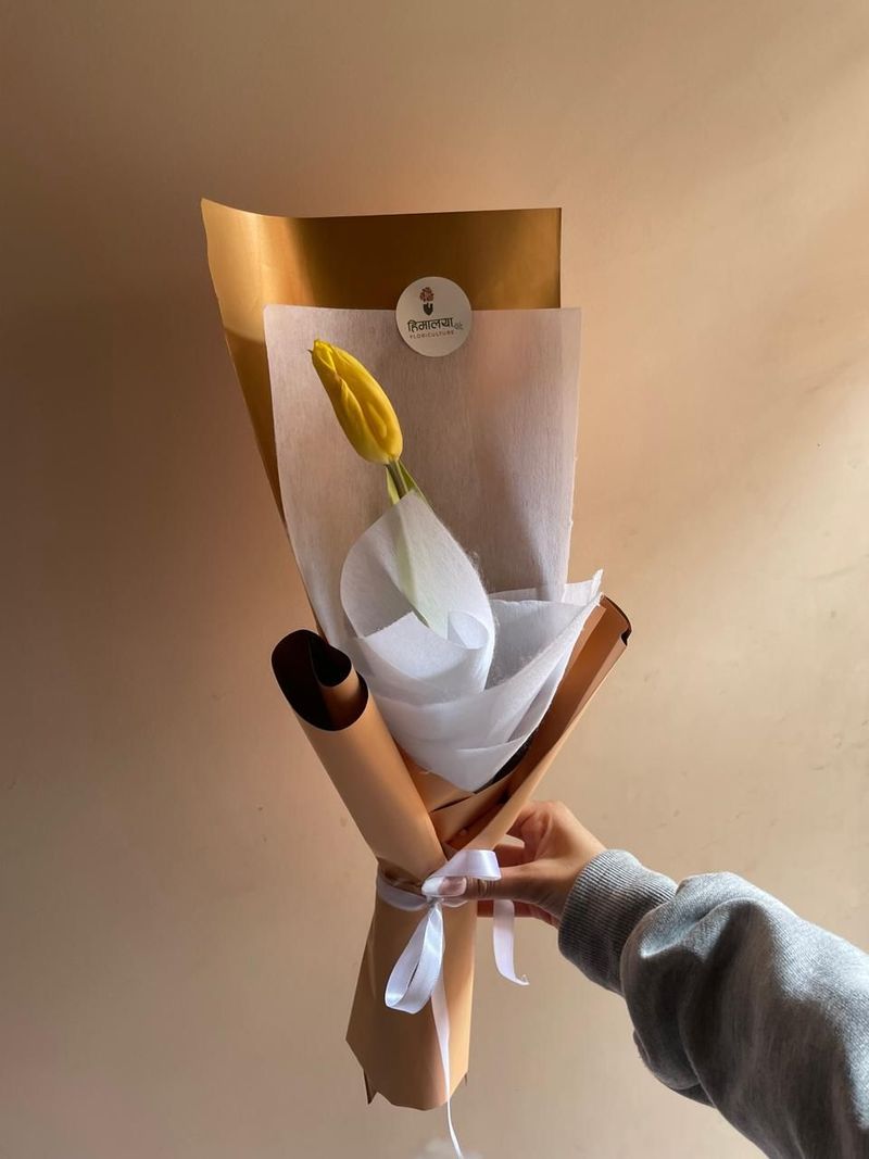 The Pocket Sunshine – 1 Stem Yellow Tulip Minimalist Bouquet