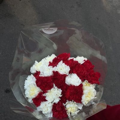 Cupid’s Confetti Bouquet – 25 Mixed Carnations