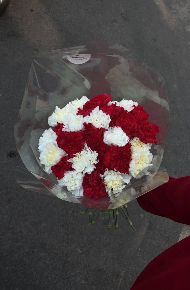 Cupid’s Confetti Bouquet – 25 Mixed Carnations