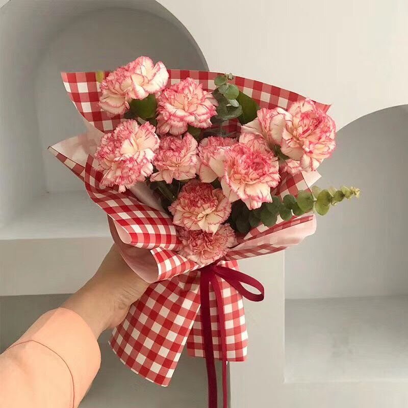 elegant-pink-carnation-petite-wrap Mother's Day & Parents' Appreciation: Pink carnations are the traditional symbol of a mother's eternal love and gratitude.