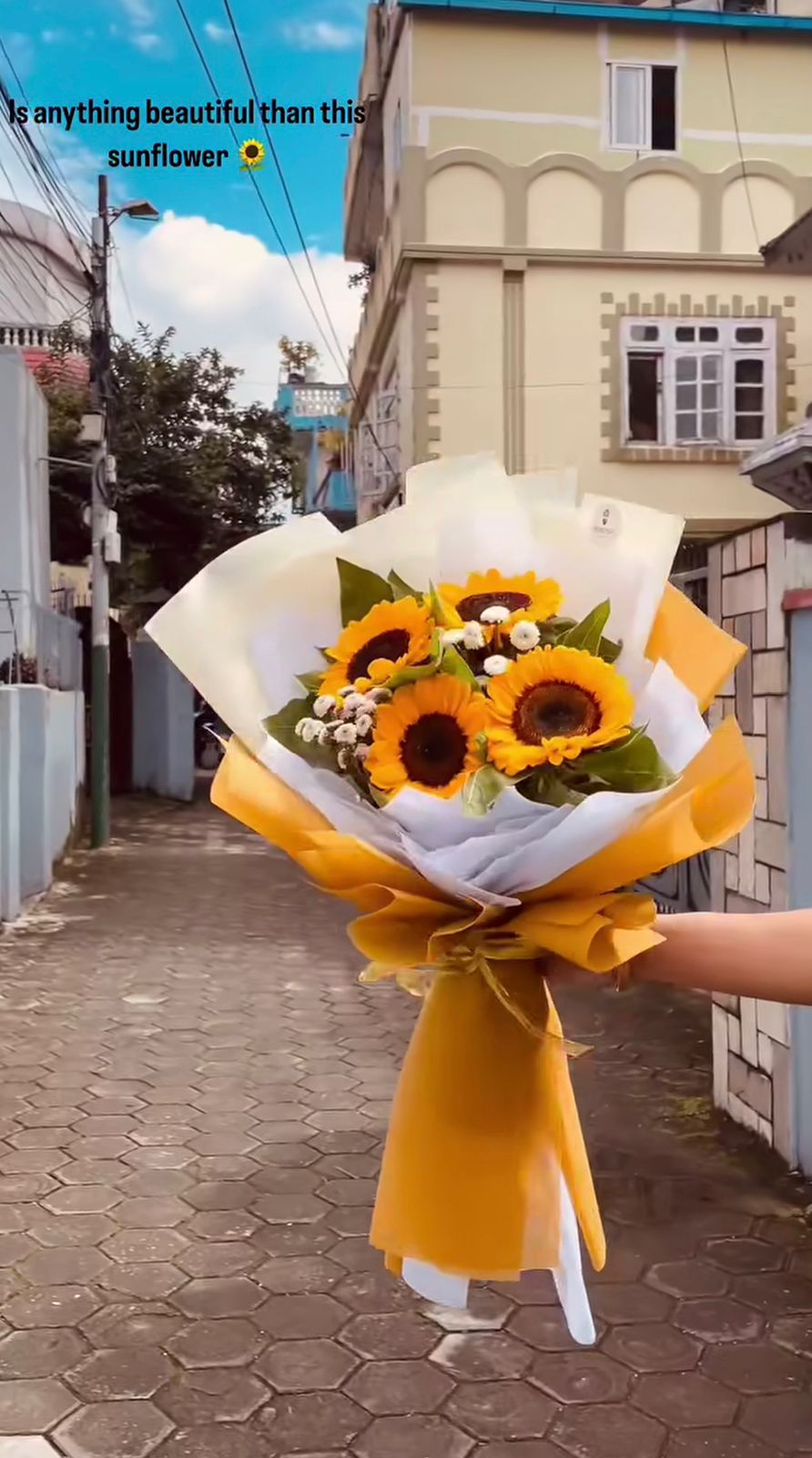 Occasions: Graduation, Birthday, Congratulations, Cheer Up.